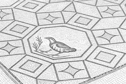 Villa dei Mosaici - mosaico