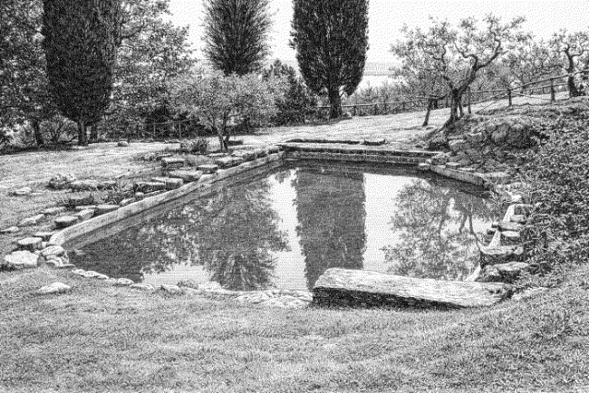 Giardino delle piante acquatiche di Isola Polvese