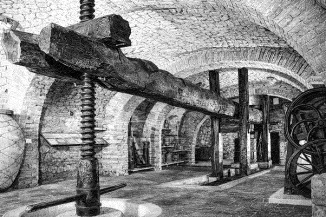 Torchio di Catone