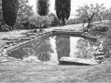 Giardino delle piante acquatiche di Isola Polvese